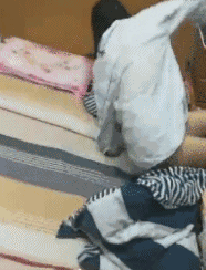 动态图gif那些笑死人不偿命的图片