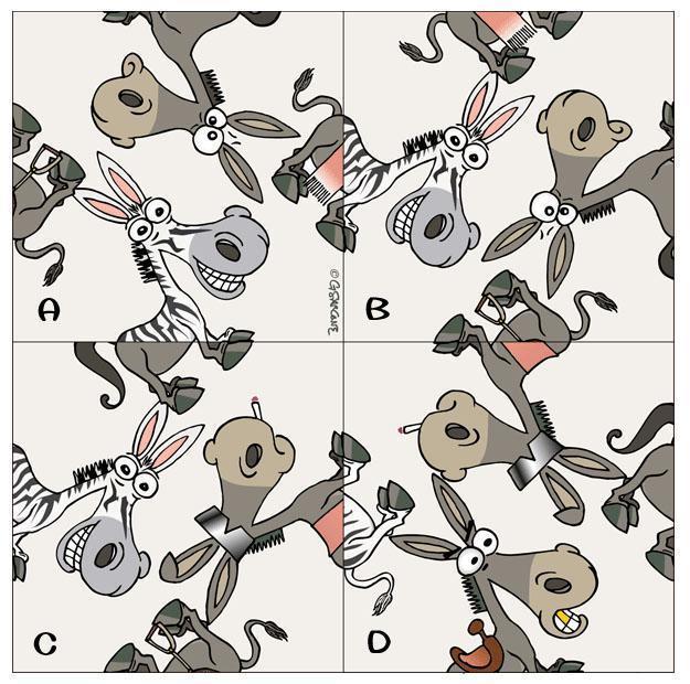 智力题第10期:有趣的小毛驴-fb上的一道趣味智力题!