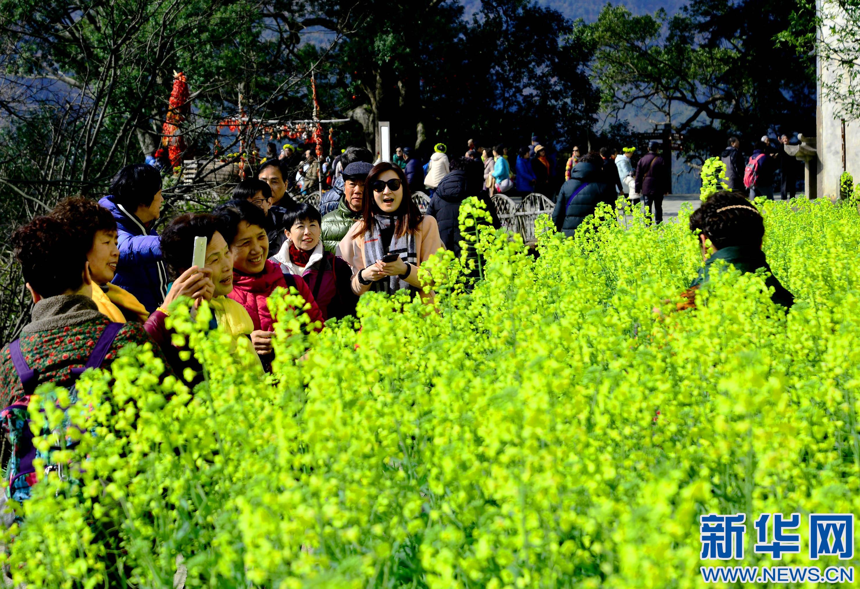 2月25日,春光明媚,江西省婺源县篁岭景区上万游客前来踏春赏花.