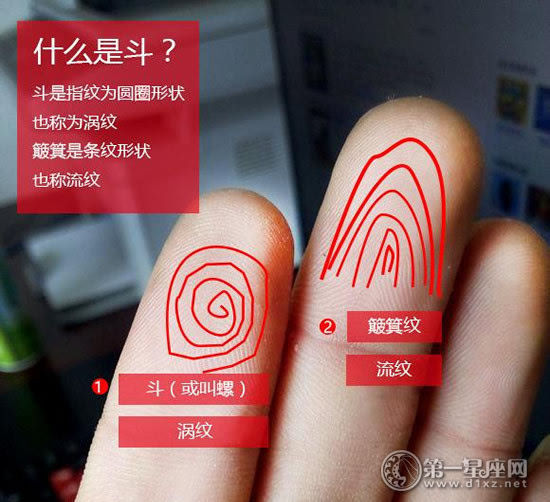 手相上有这几个斗的是富贵命:手指斗的说法介绍