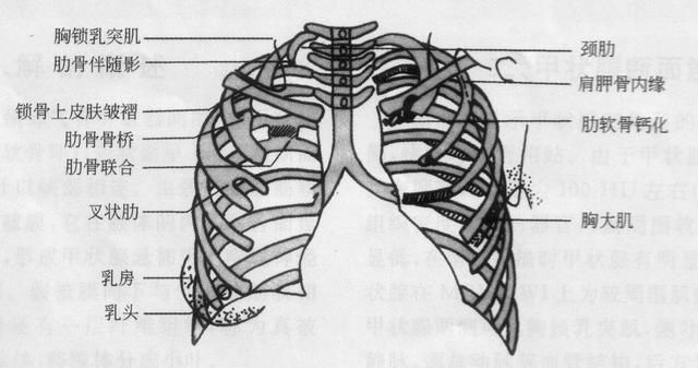 胸部总是有疼痛感怎么办,是肺癌吗,有哪些原因会导致胸痛?
