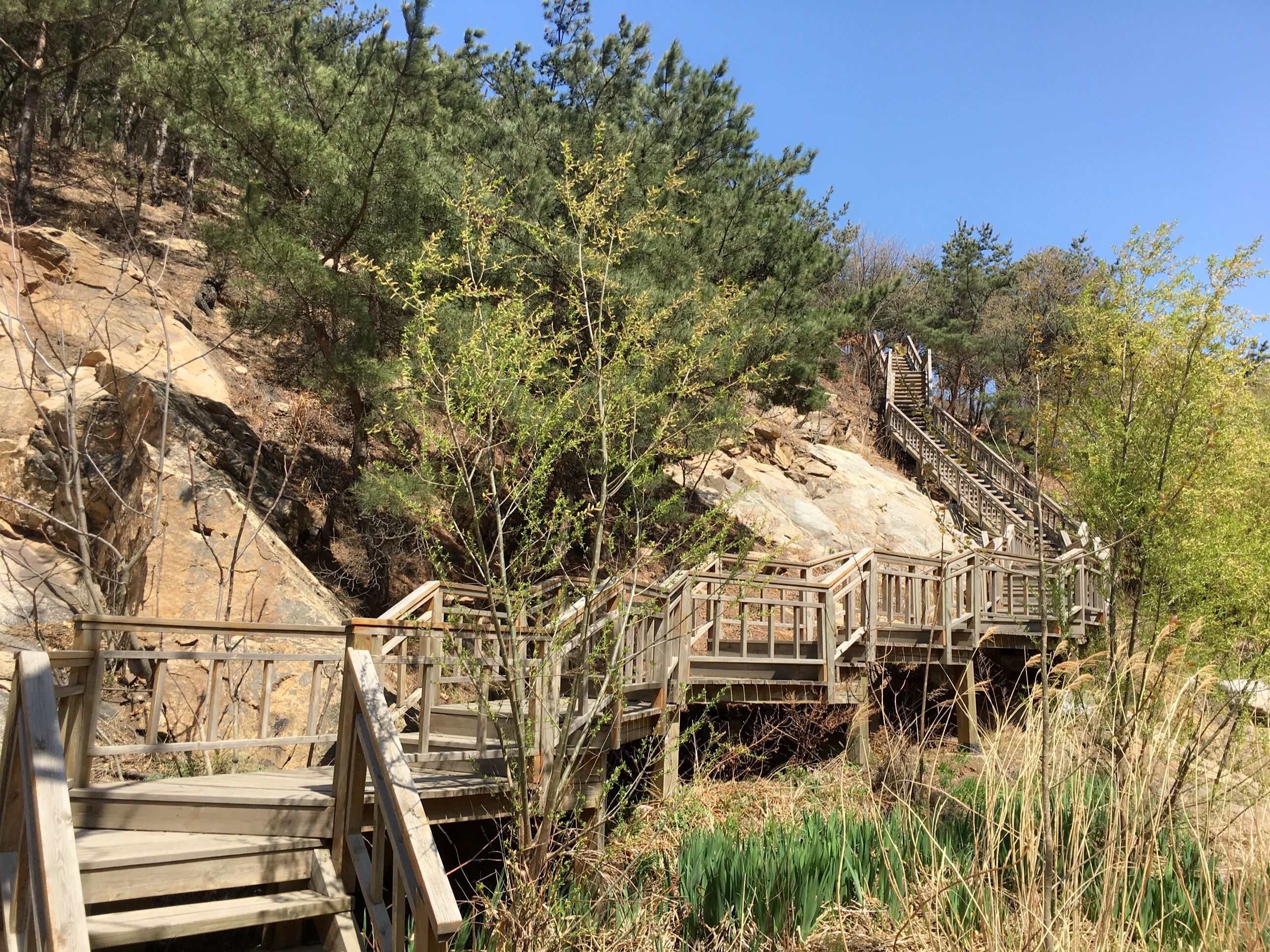 这是里口山健康步道.但是现在处于封山防火期,所以健康步道不让进.