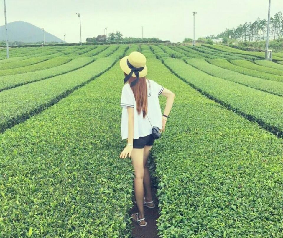 我怀孕回家常待产,吃了做法给我做的排骨汤后海鲜酱酱焖土豆的弟媳做法大全视频娘家图片