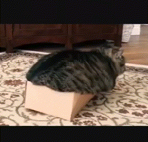 搞笑gif:我没喝醉我只是有点困!