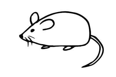 男女宝宝简笔画,儿童画画灵活的小老鼠