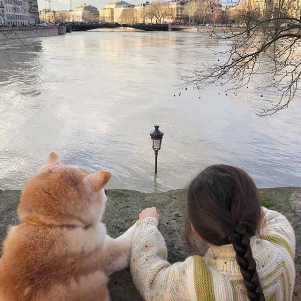 他们的日常生活可爱又时尚,父母将他们的照片传到网上,现在已经有超过