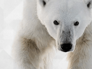 你随意,动一下算我输