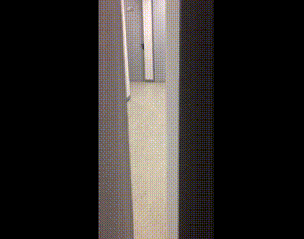 上班坐地铁遇见的妹子,原谅我忍不住笑了!