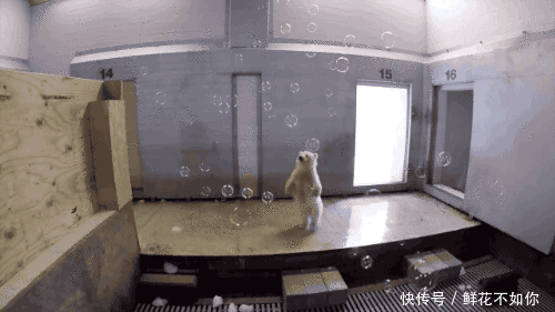 爆笑gif动图:少年如此装逼,坟头草该腰高了吧