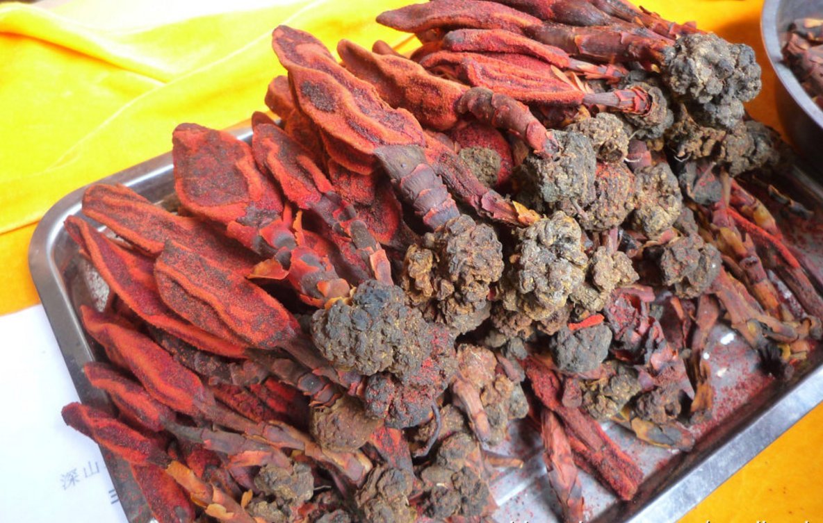 锁阳回春草风流果霪羊藿打粉一起吃