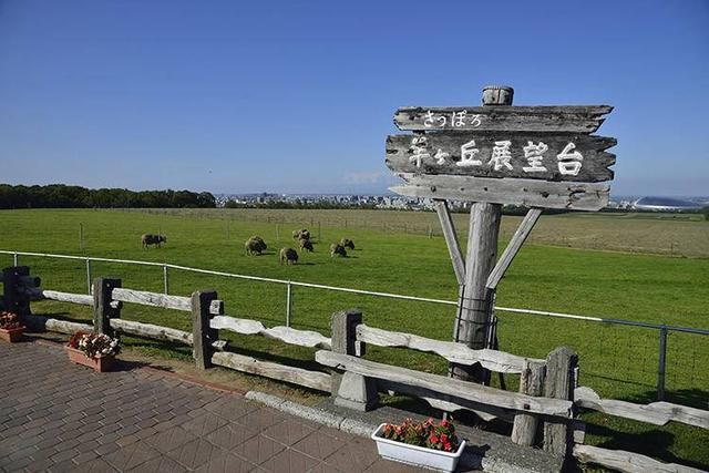 2018北海道札幌自由行全攻略,当地吃喝玩乐,不升级d3攻略图片