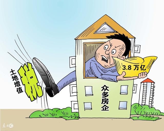 农民专业合作社是增值税一般纳税人吗