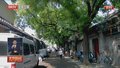 北京率先建设古树生境整体保护模式 在全国起到示范引领作用