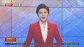 叙利亚反对禁止化学武器组织关于杜马镇相关事件的报告