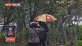 4月10日春雨润京城 全市平均降水1.9毫米