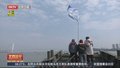 长江靖江段再现“江豚戏水” 目测超10头