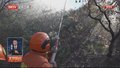 本市发出春季森林防火倡议书