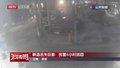 少小离家老大回 玳瑁即将“回家”