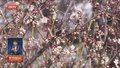 明城墙遗址公园山桃梅花盛开