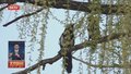 柳文化节开幕 到柳荫公园欣赏“绿柳拂堤”