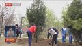 全民植树增绿：首都各行各业积极参与义务植树活动