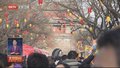 福满京城 春贺神州丨逛“宛平吉市” 感受古城烟火气