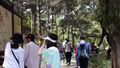 全市重点监测公园景区5月1日接待游客126.85万人次