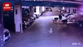 市民爆料女子遛6只大型犬不拴绳：将我家小狗活活咬死了！