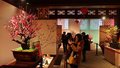 颐和园“傲骨幽香”梅花、蜡梅迎春文化展开展