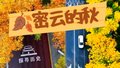 密云的秋景来了，快上车，一起领略秋日盛景！