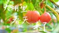 延庆大棚春色浓，果蔬生机盎然现