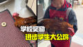 这奖励太实惠啦！学校奖励进步学生大公鸡 家长直呼真有创意