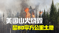 美国山火超80平方公里土地被烧毁 150座建筑收到强制疏散令