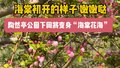 陶然亭公园下周将变身“海棠花海”