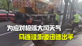 北京大风马连洼街道应急反应迅速 处置倒伏树木9棵
