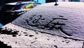 延庆地区自北向南出现短时降雪天气