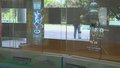 国际博物馆日：第三届策展人论坛举办
