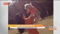 为爱犬追凶的1000多天 追踪北京首例宠物投毒刑事公诉案