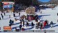 雪乡@游客 今冬带你感受不一样的“童话世界”