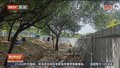 《都市晚高峰》20250614
