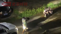 民警采取“以狗制狗”将疯狗迅速制服