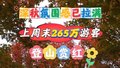 深秋氛围感已拉满！北京上周末265万游客登山赏红 带火“彩叶经济”