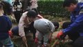 全市建立园艺师制 实现“三师”联动机制