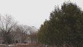 3月1日晚至2日早晨全市平均降水量0.9毫米 下周缓慢升温