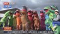 别开生面 日本举行“霸王龙”臀部相扑大赛