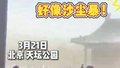 北京花粉浓度爆表！提示：出行戴口罩、护目镜