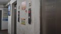 “市民对话一把手·提案办理面对面”聚焦居民住宅老旧电梯安全监管