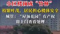 #居民称楼顶种了一大树致家中渗水#，#城管回应住户在楼顶上种树#