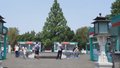 和满京城 奋进九州丨端午假期首日 市属公园接待游客36.58万人次