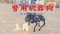 “警用机器狗” 上岗啦！
